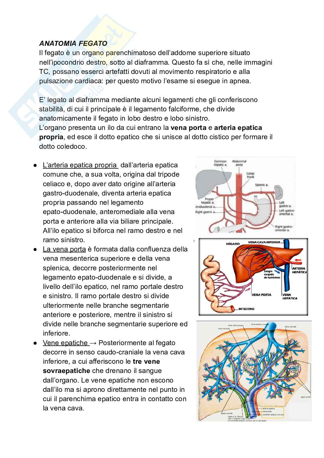 Riassunto esame Tc addome, Prof. Pecchioni Nicola, libro consigliato Diagnostica per immagni, Toricelli Pag. 2