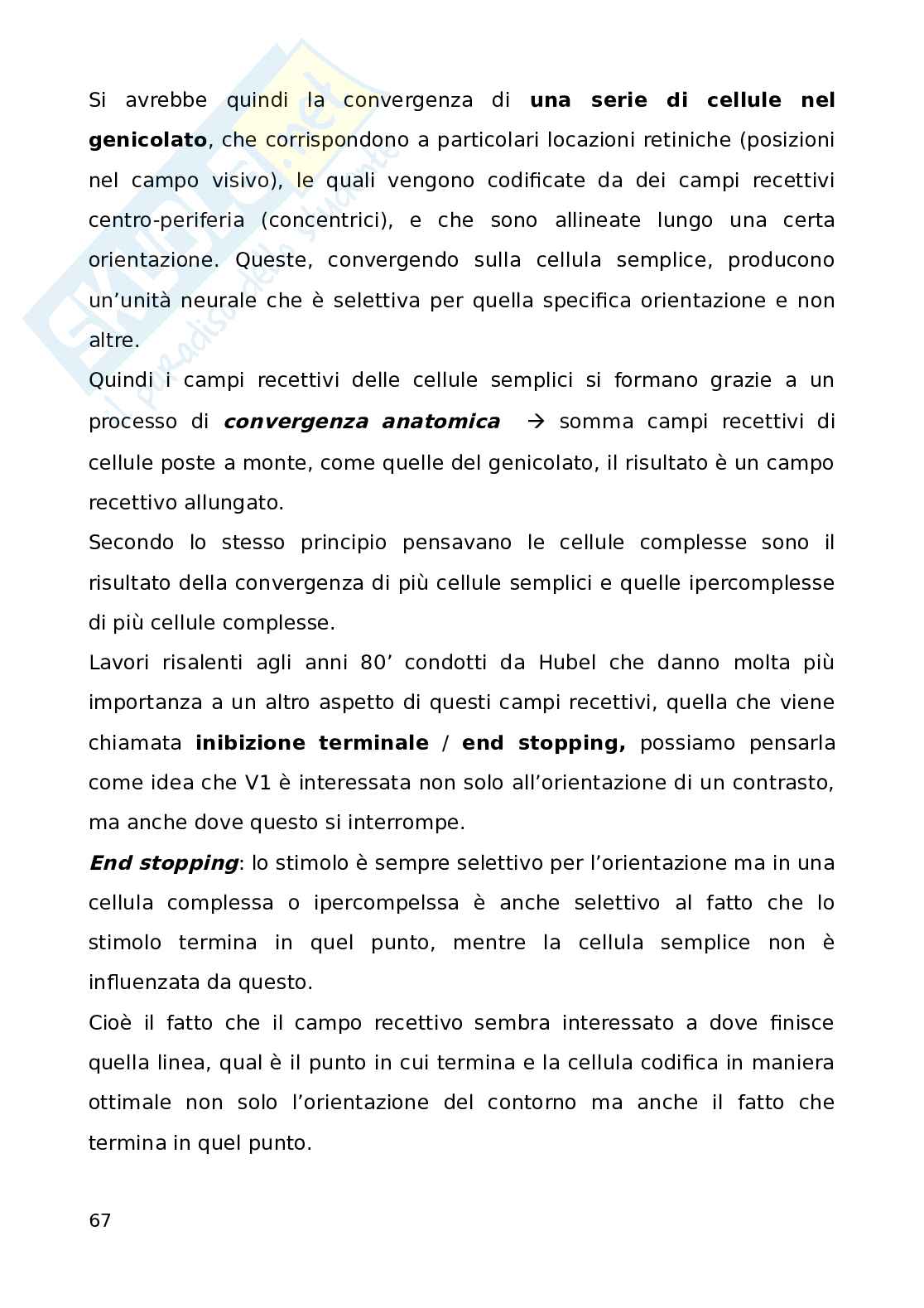 Percezione visiva di basso livello Pag. 46