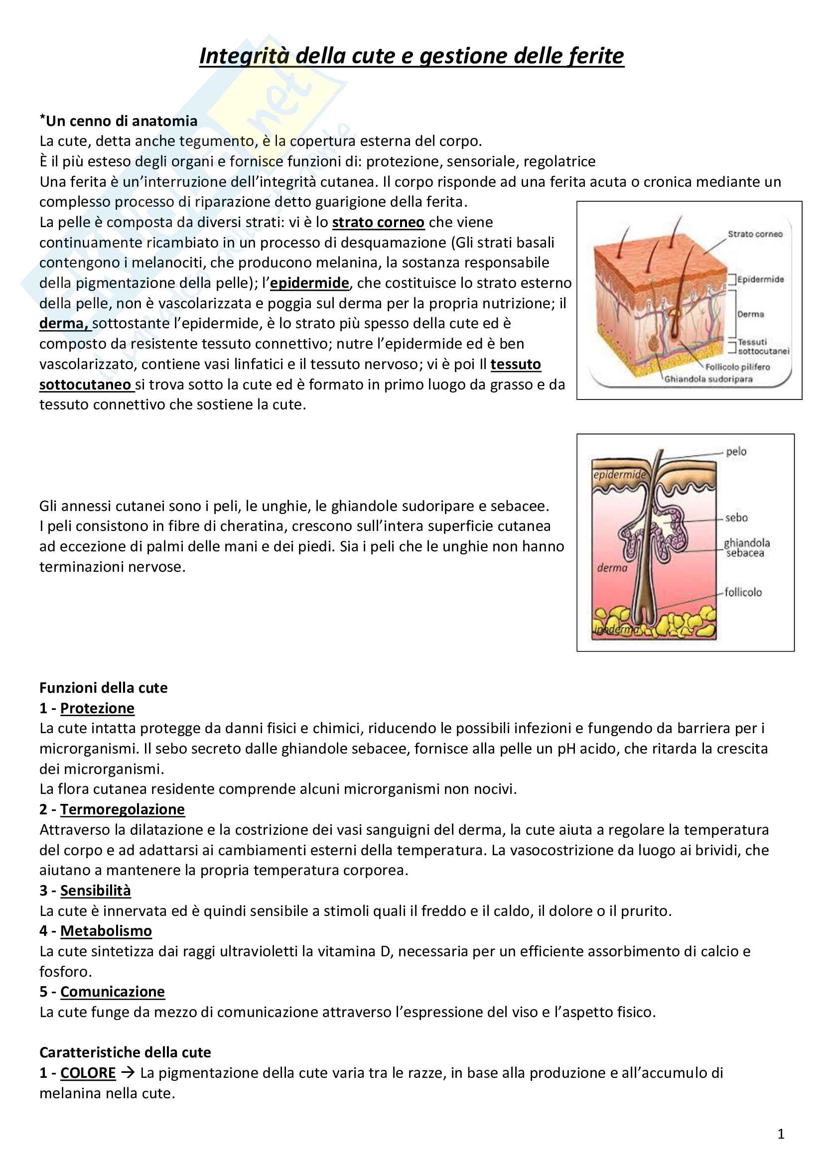 Infermieristica clinica 2 - Integrità della cute e gestione delle ferite Pag. 1