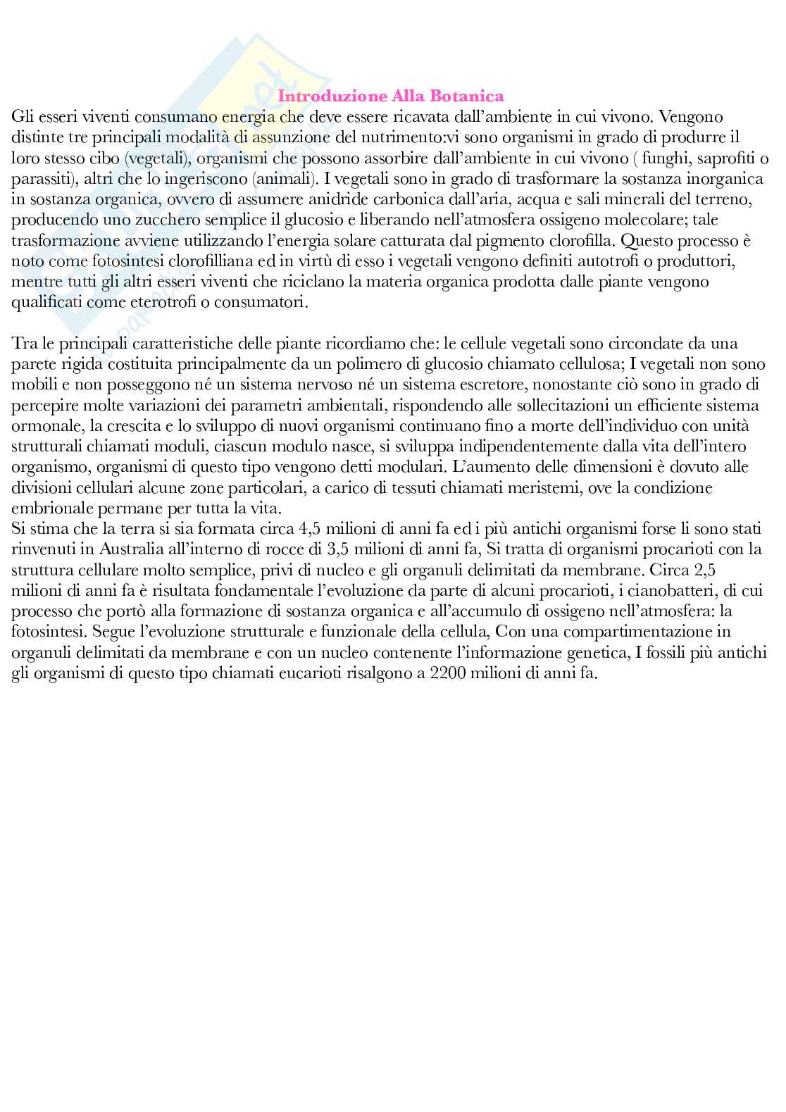 Botanica generale e sistematica Pag. 2