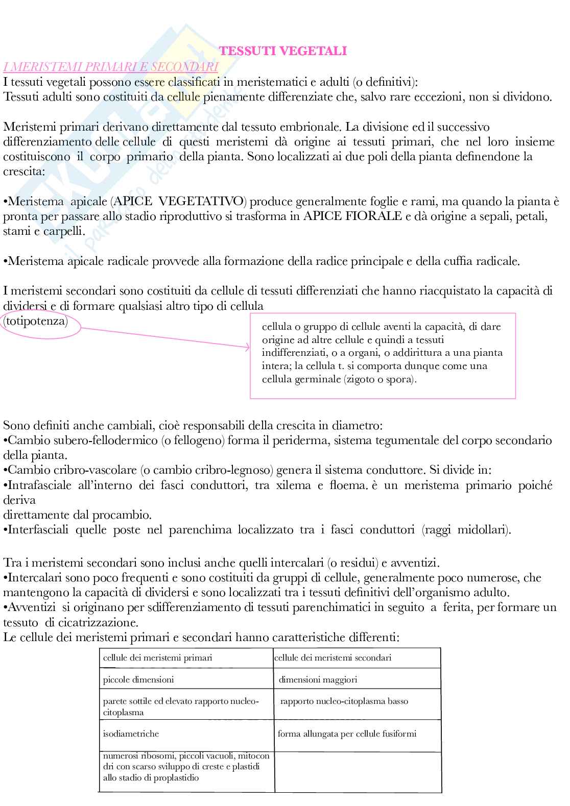 Botanica generale e sistematica Pag. 21