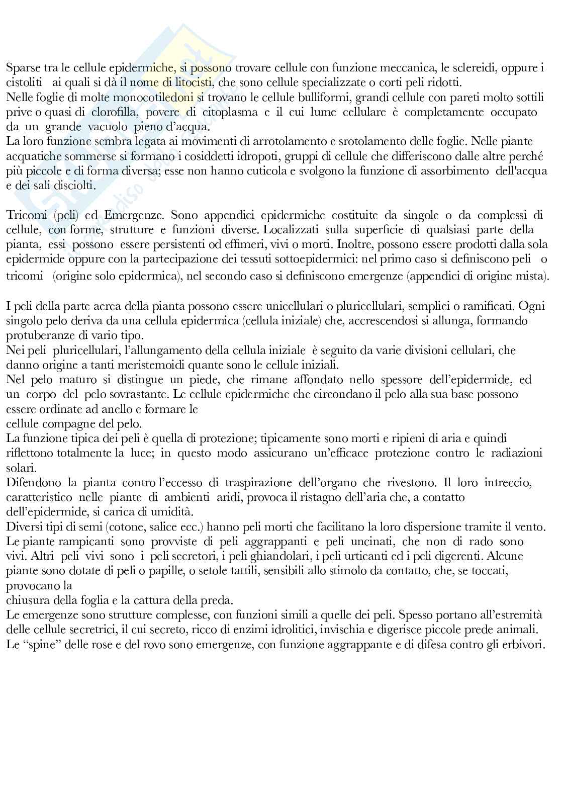 Botanica generale e sistematica Pag. 26