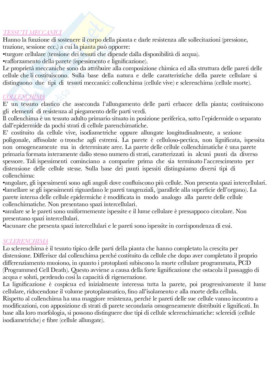 Botanica generale e sistematica Pag. 31