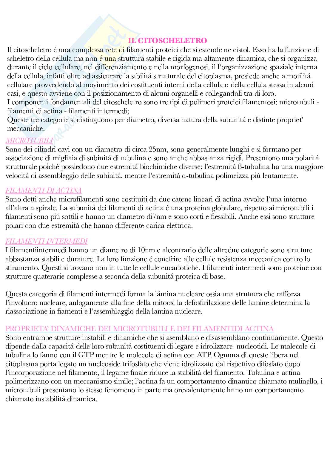 Botanica generale e sistematica Pag. 6