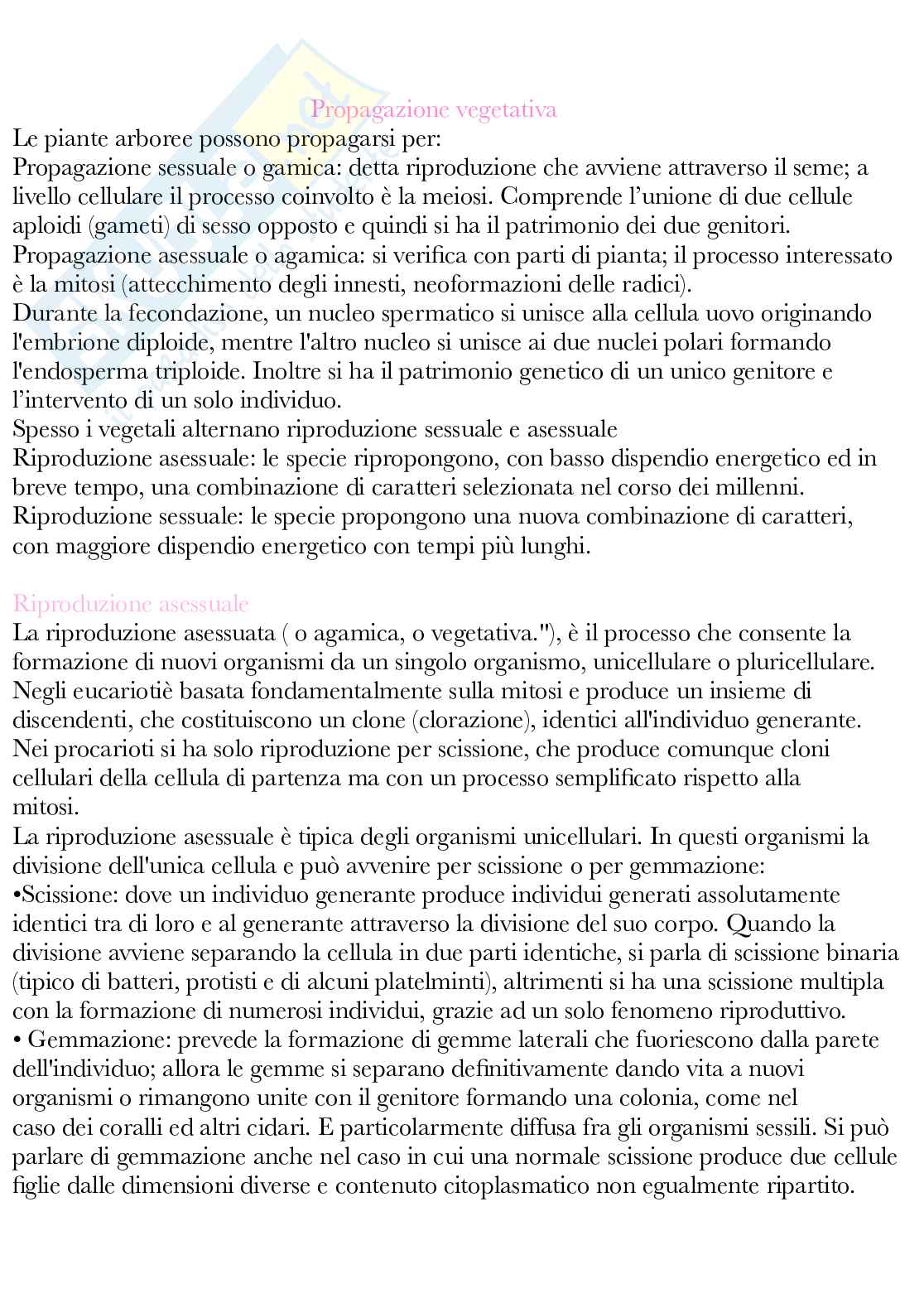 Botanica generale e sistematica Pag. 76