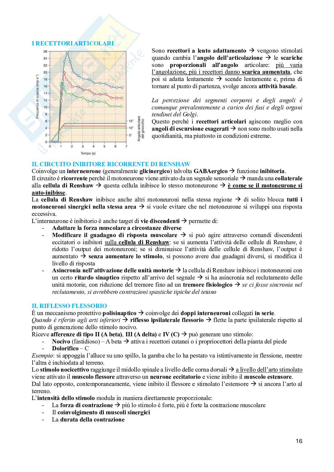 Fisiologia del sistema motorio Pag. 16