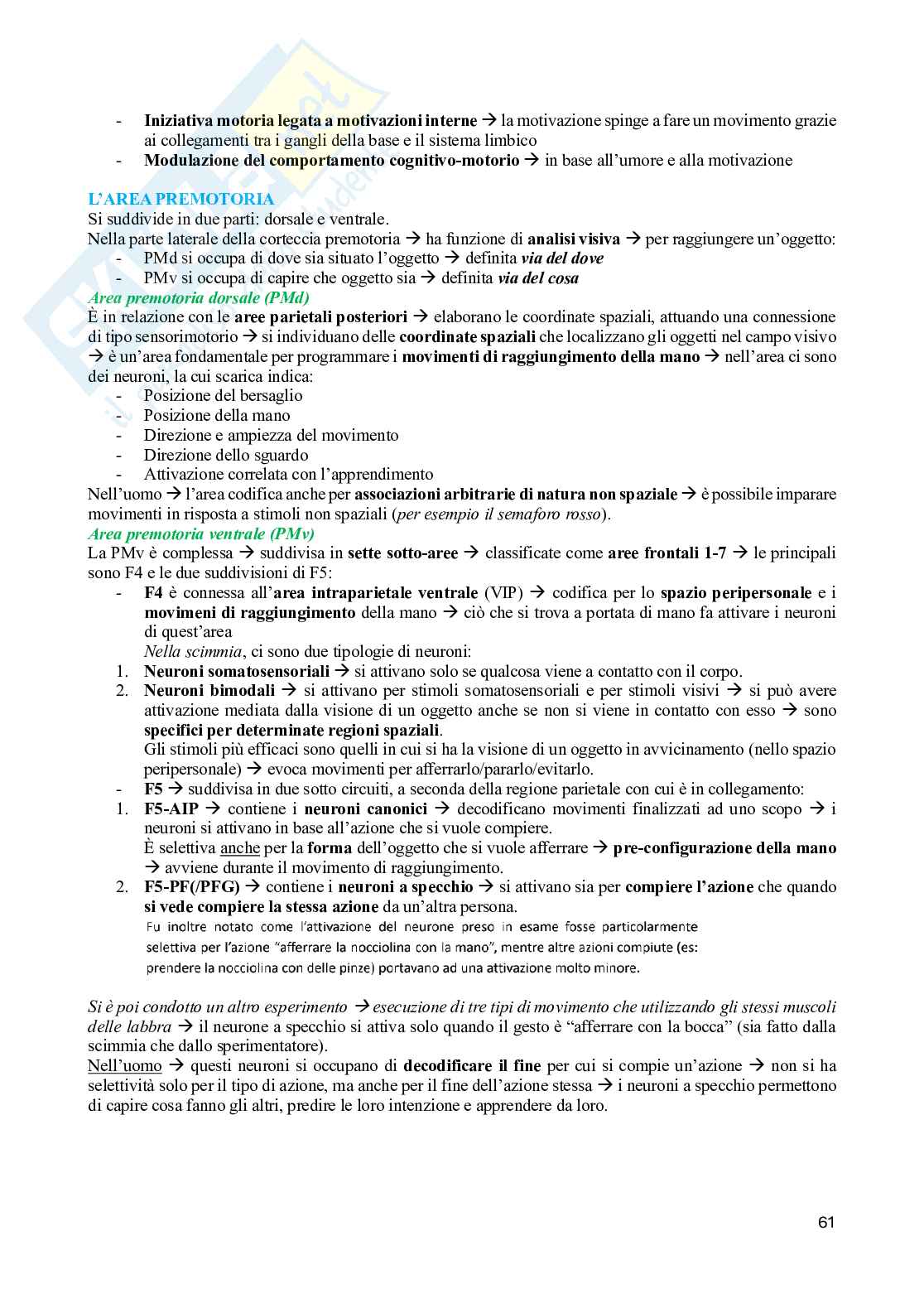 Fisiologia del sistema motorio Pag. 61