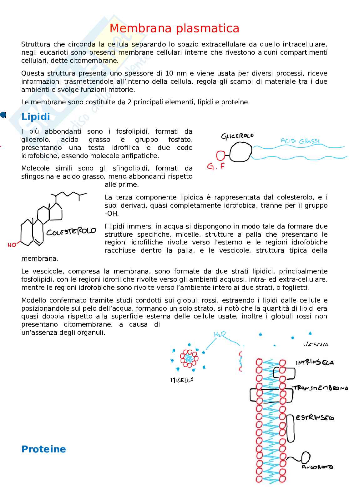 Citologia e istologia Pag. 1
