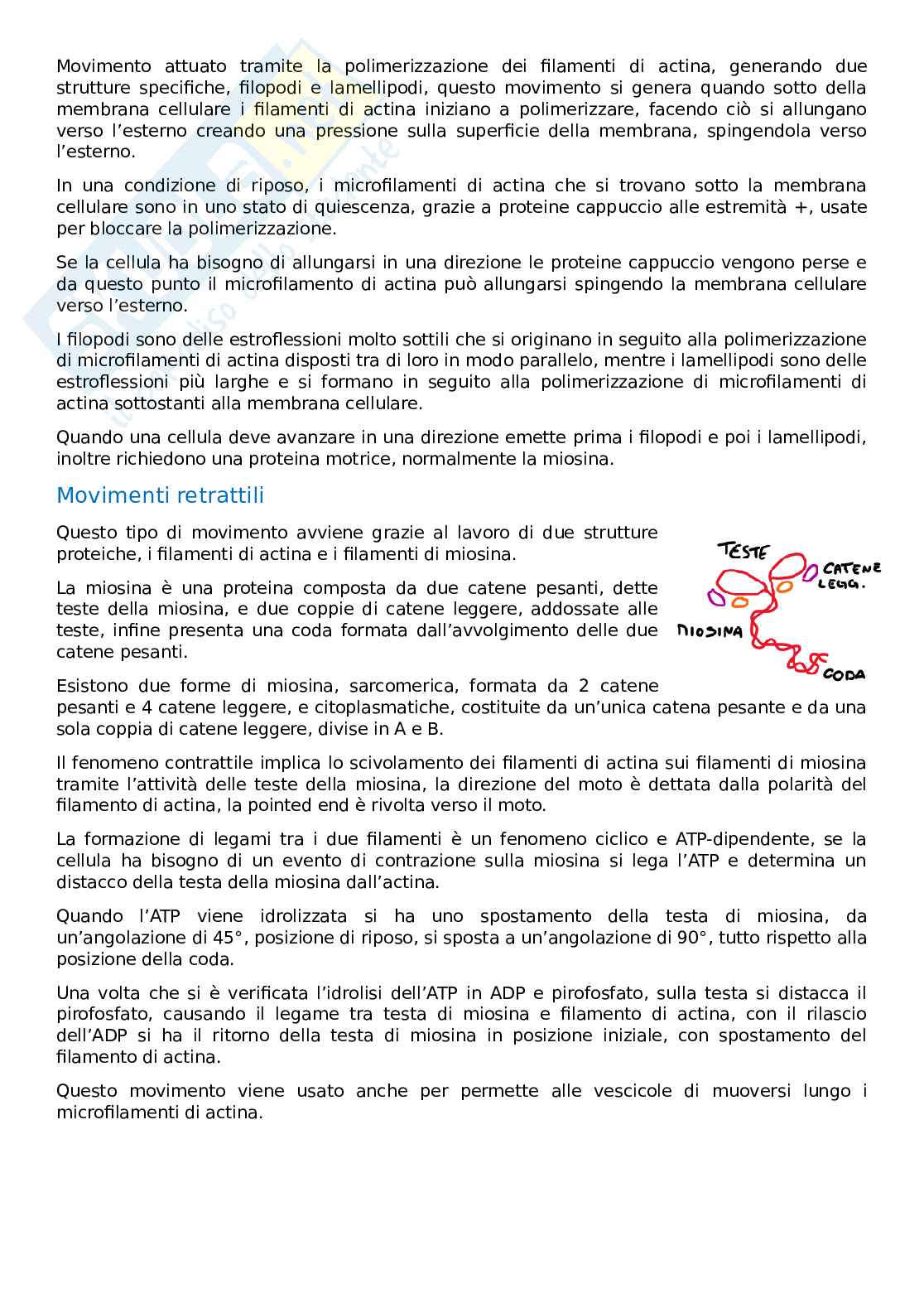 Citologia e istologia Pag. 16