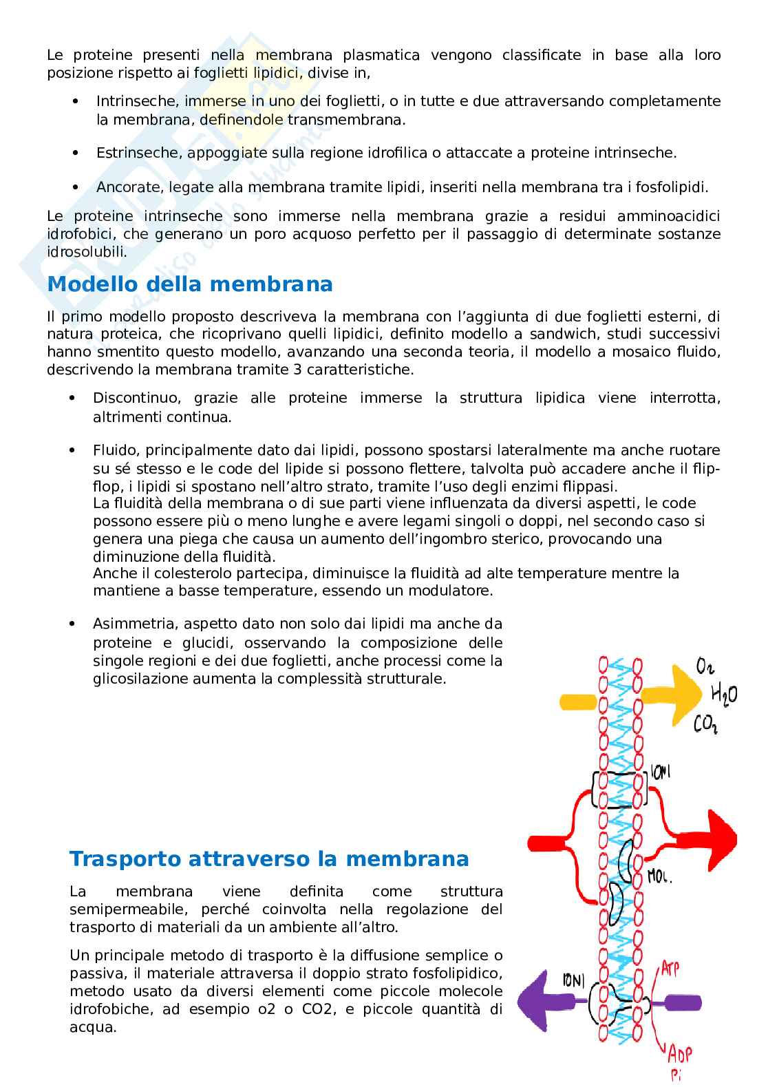 Citologia e istologia Pag. 2