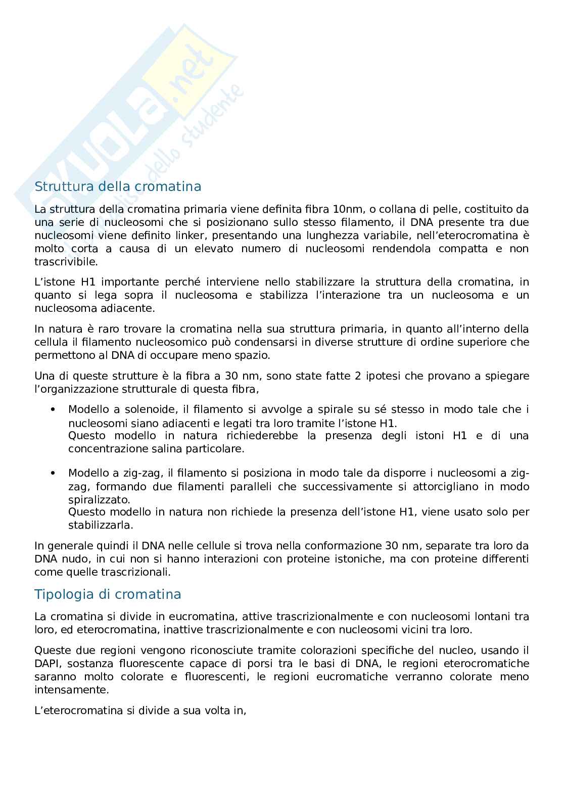 Citologia e istologia Pag. 21