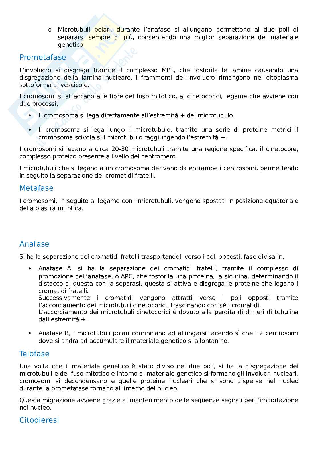 Citologia e istologia Pag. 26