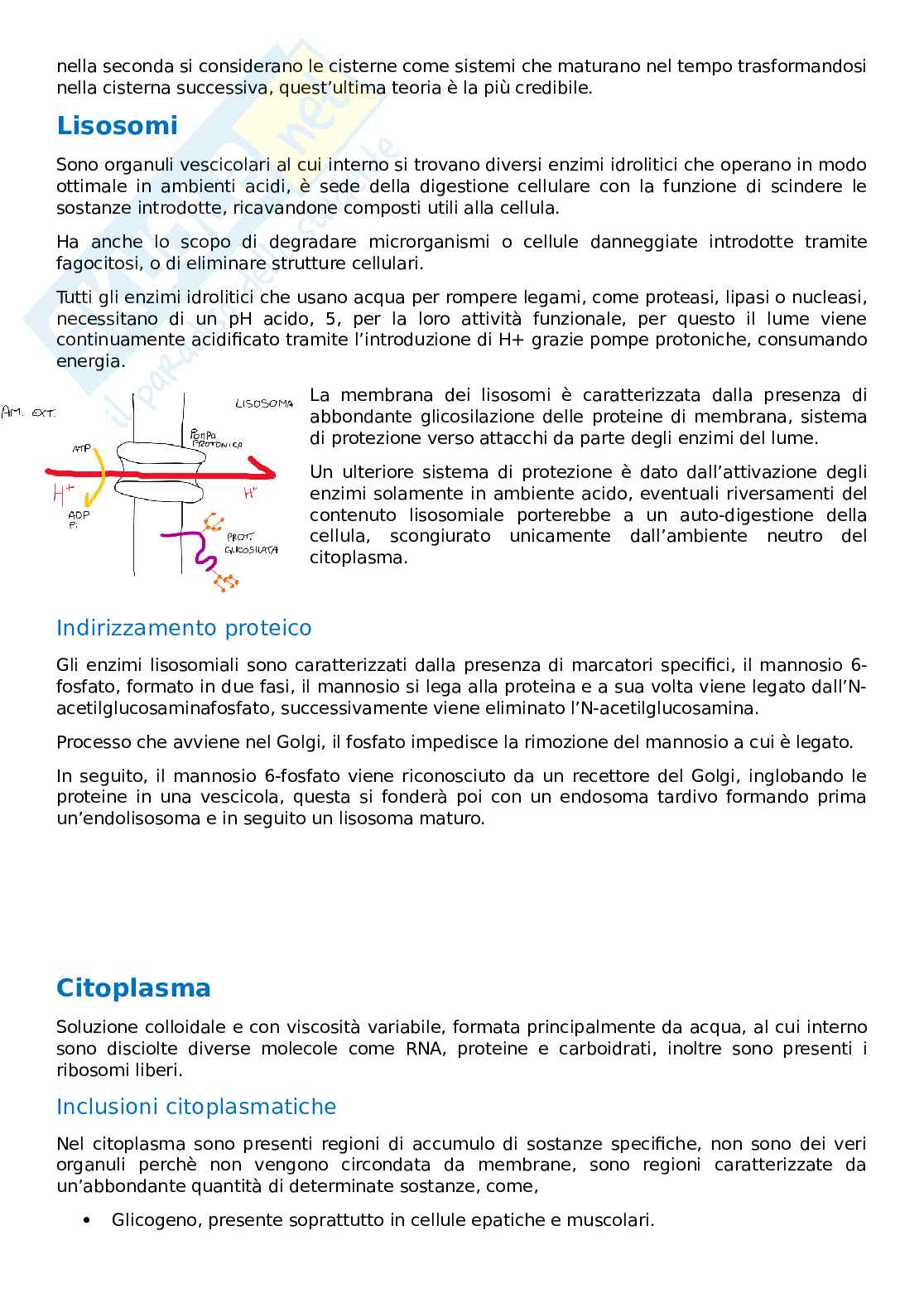 Citologia e istologia Pag. 6