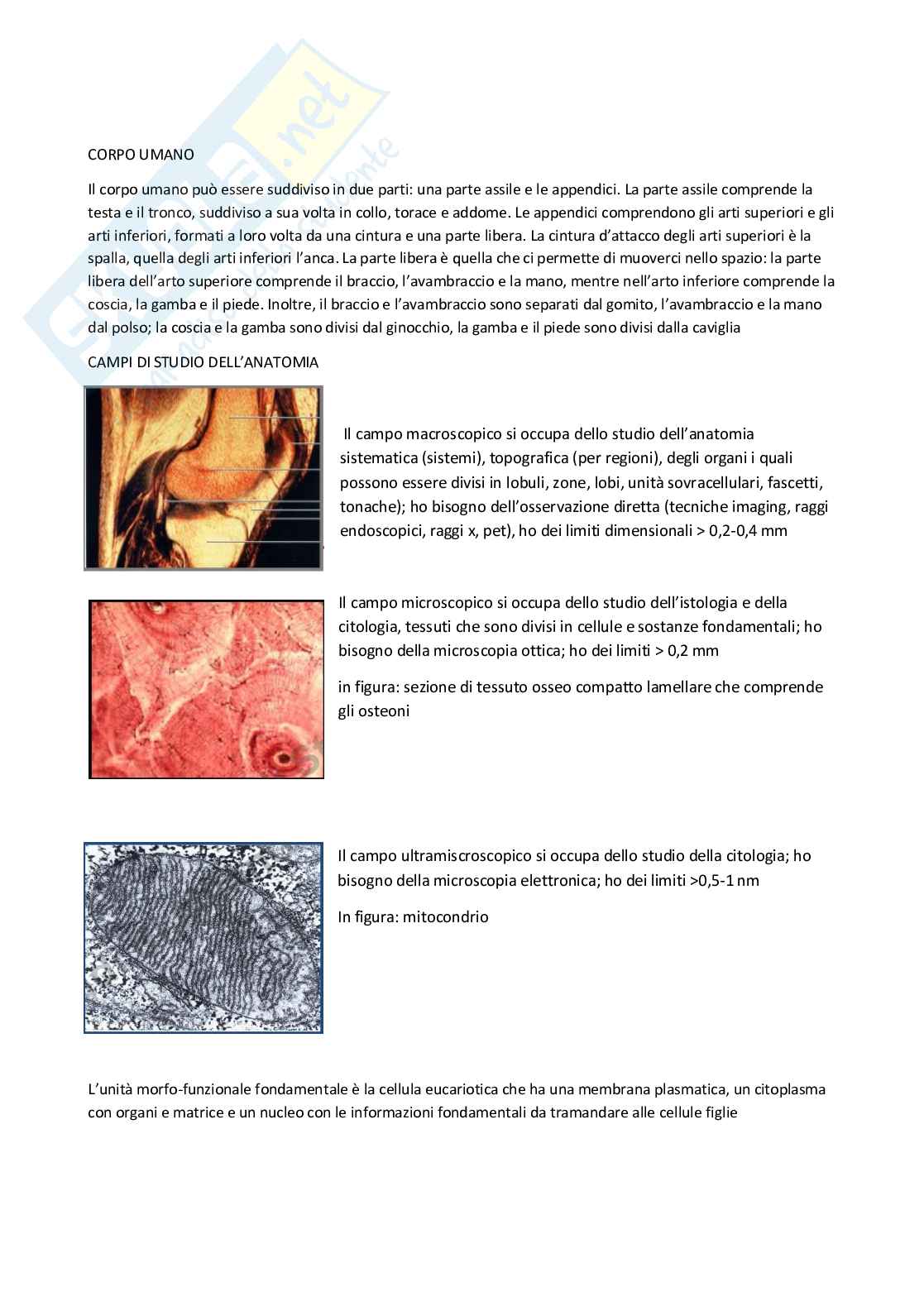 Anatomia e istologia Pag. 2
