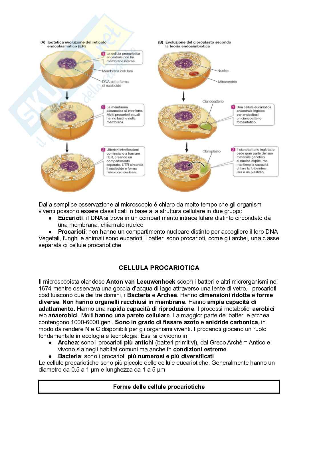 Principi di Biologia e genetica Pag. 16