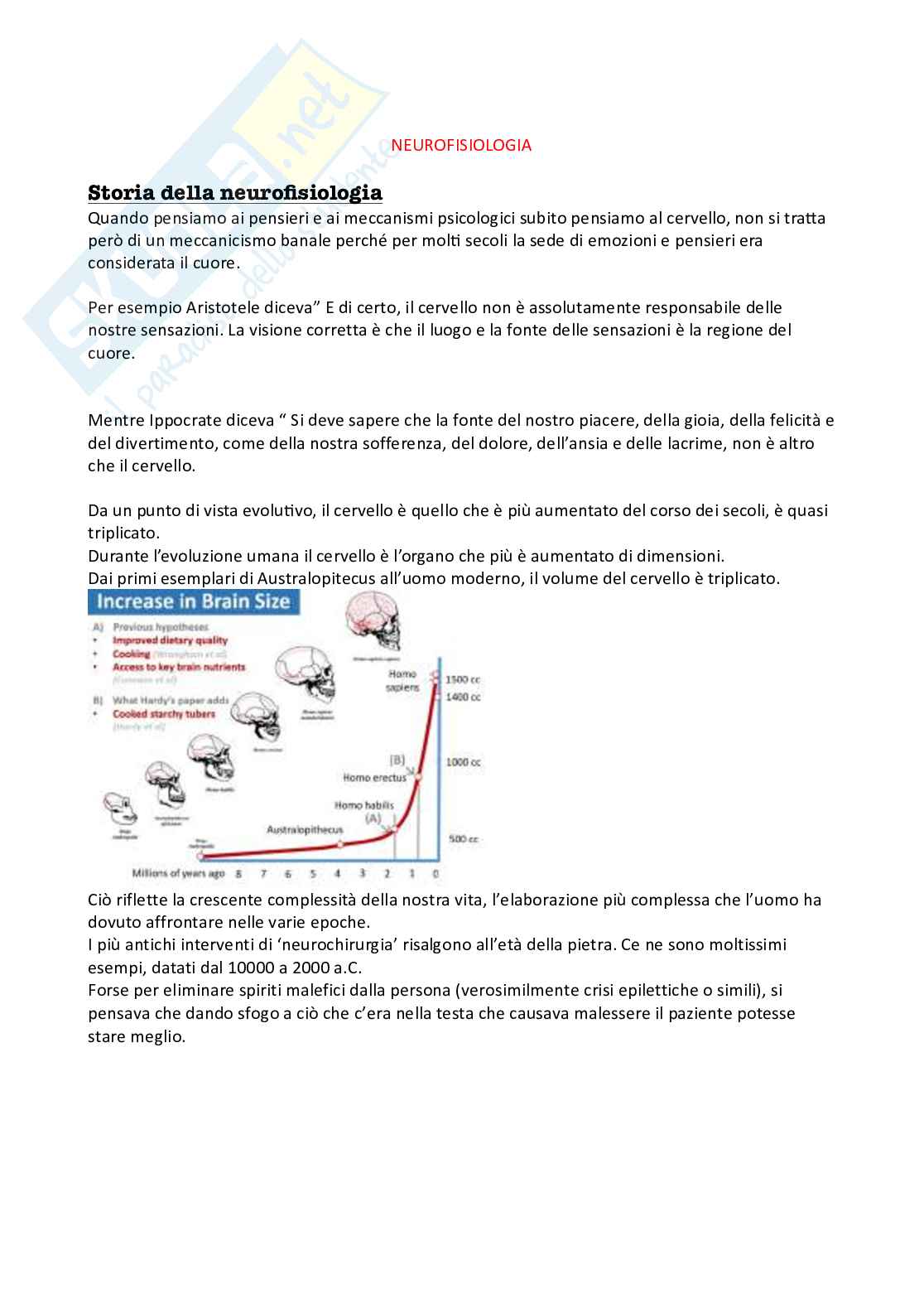 Appunti completi esame Neurofisiologia Pag. 1