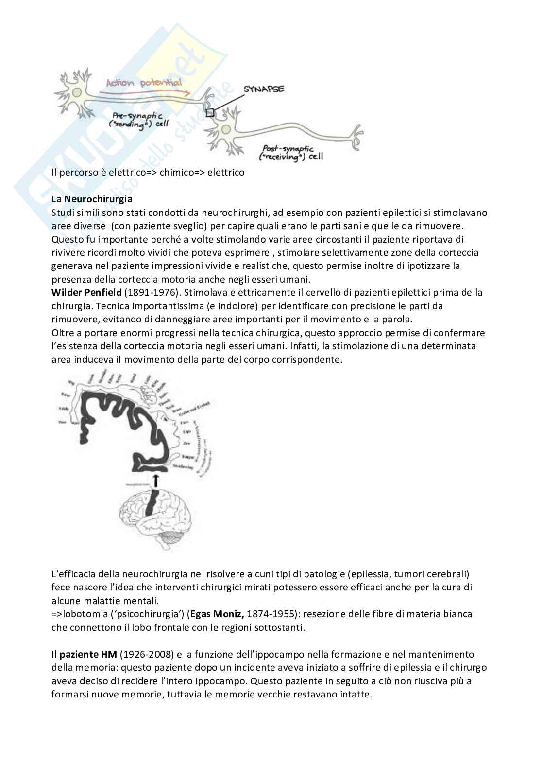 Appunti completi esame Neurofisiologia Pag. 16