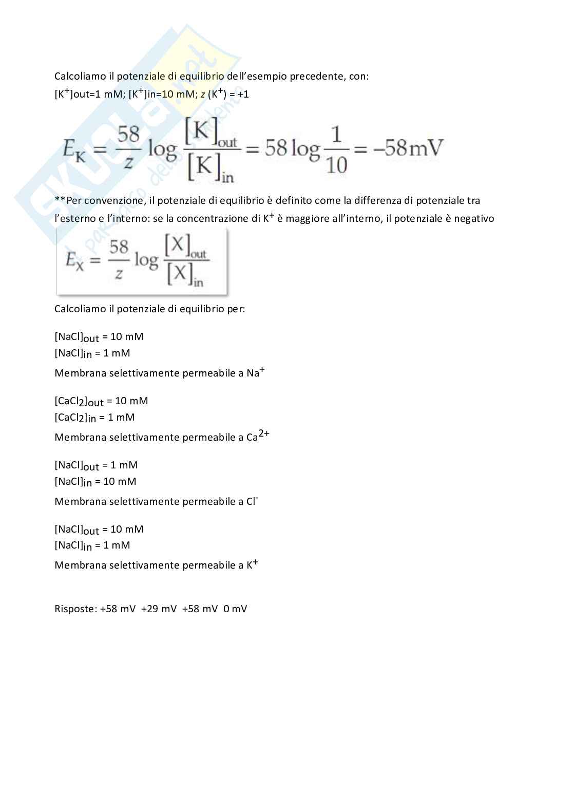 Appunti completi esame Neurofisiologia Pag. 26