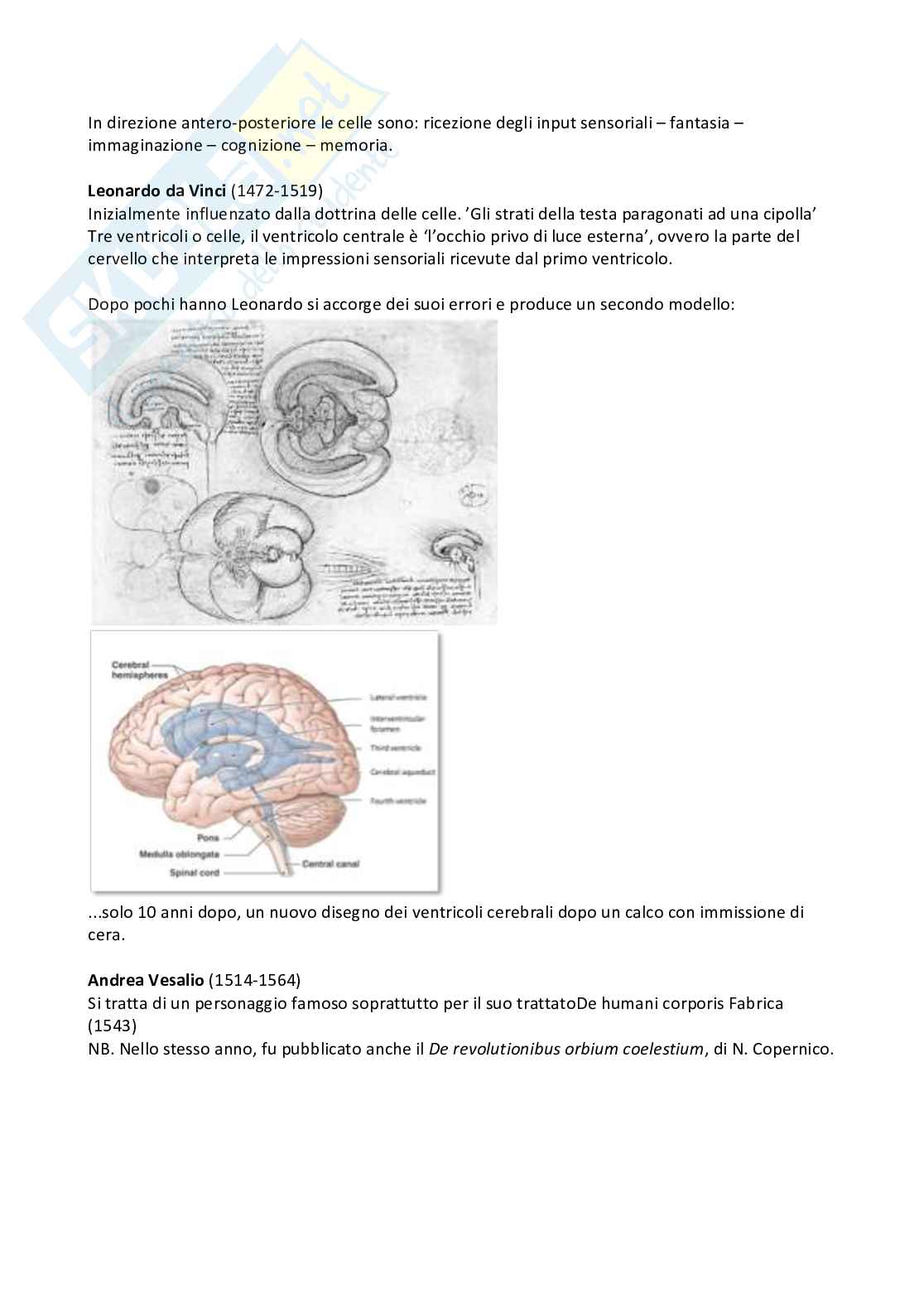 Appunti completi esame Neurofisiologia Pag. 6
