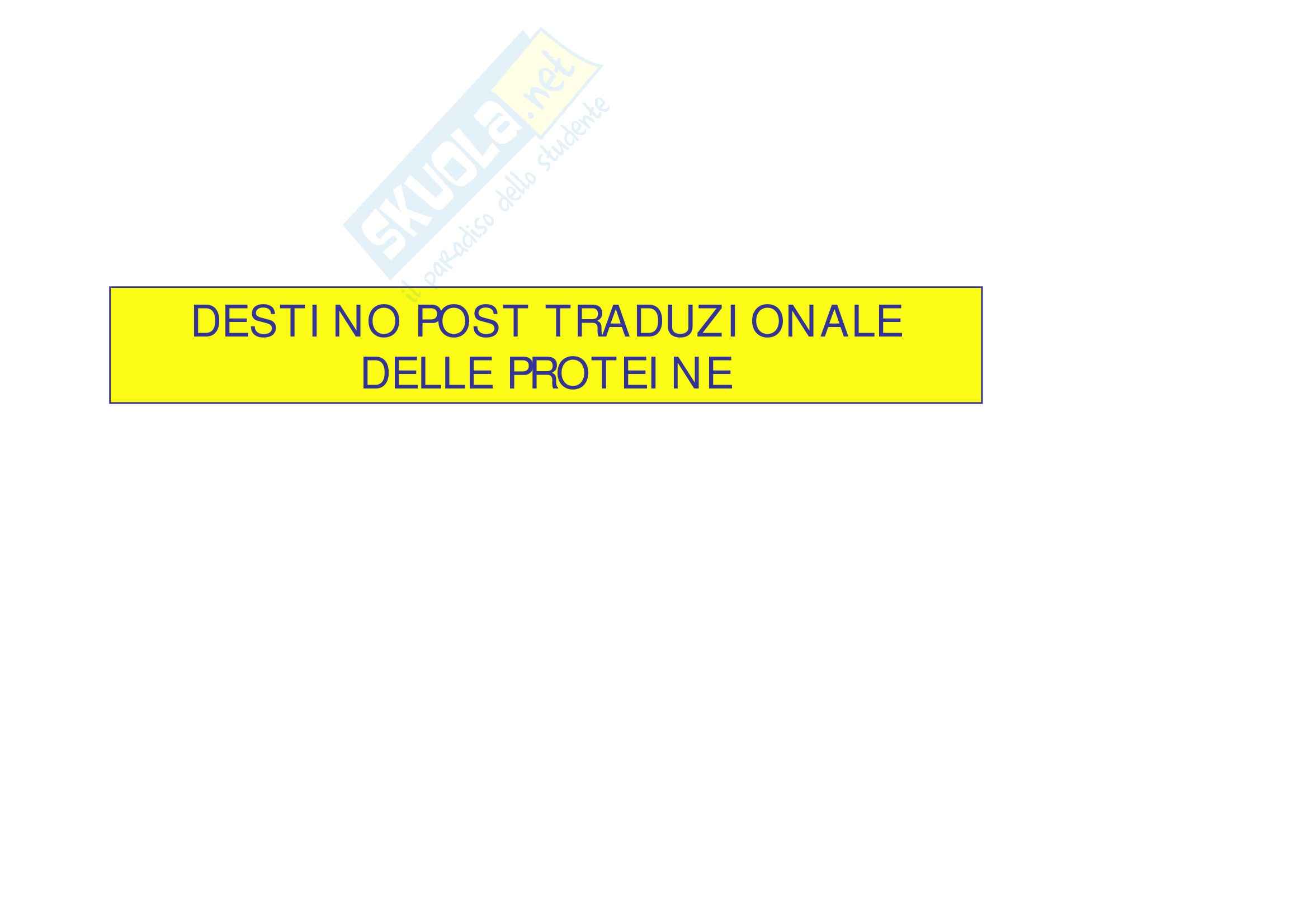 Biologia – Lezione 12 – Slides Pag. 1