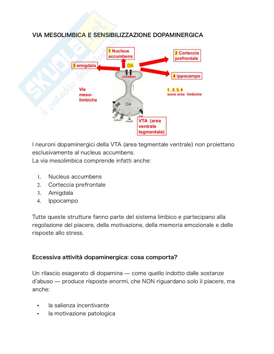 Farmacologia e tossicologia delle sostanze d’abuso Pag. 6