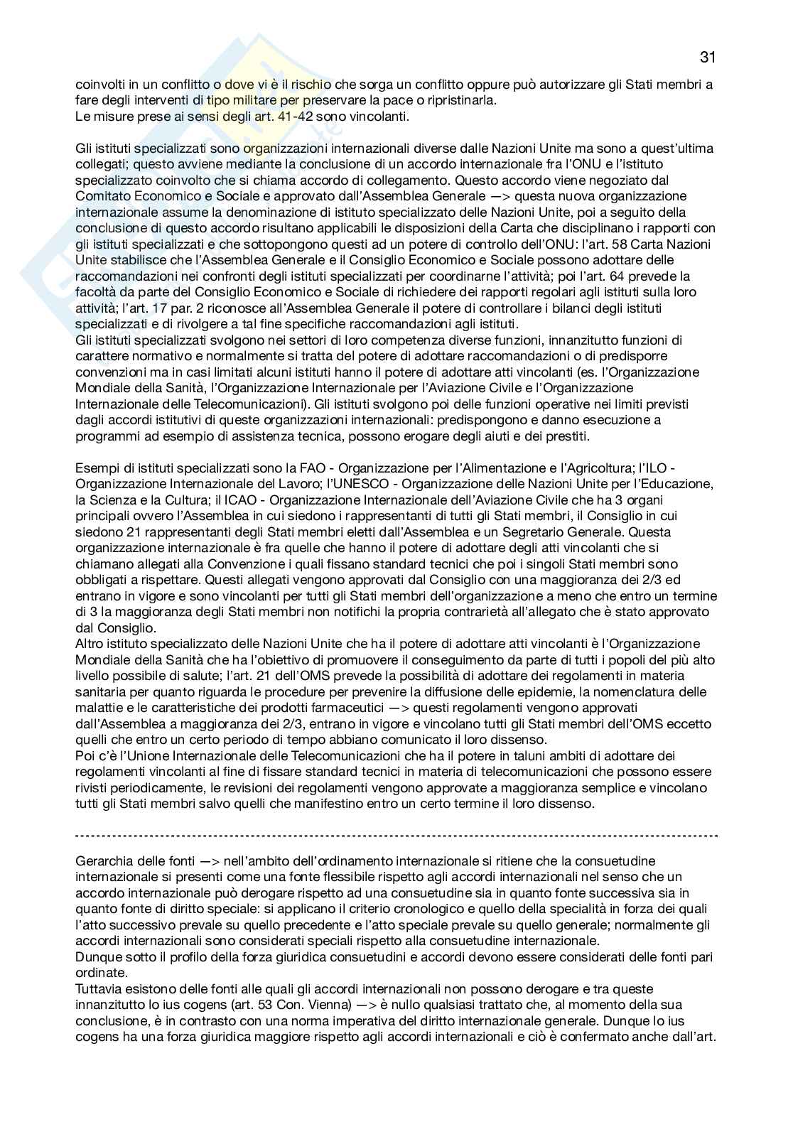 Appunti Diritto internazionale Pag. 31