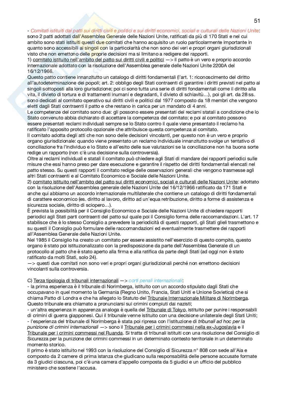 Appunti Diritto internazionale Pag. 51