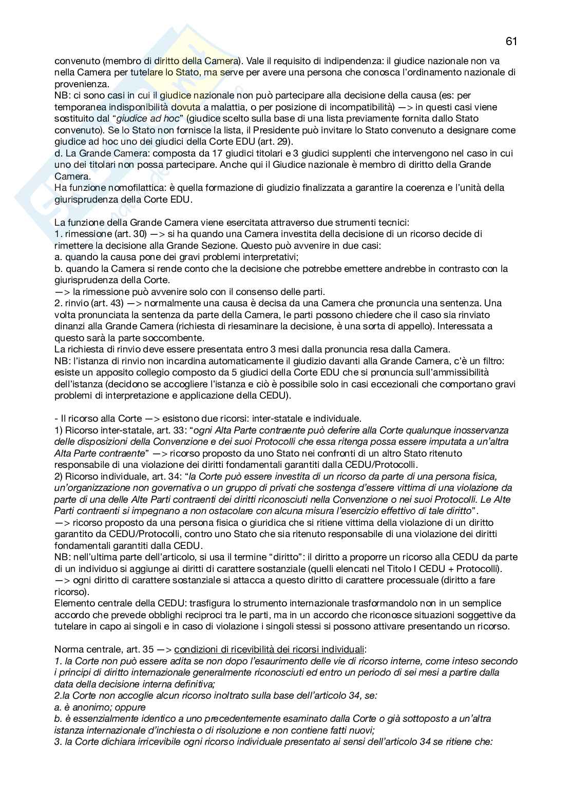 Appunti Diritto internazionale Pag. 61