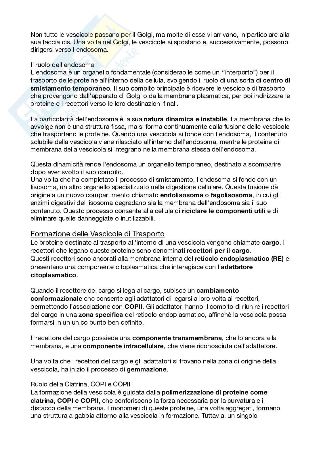 Biologi dello sviluppo e cellulare Pag. 11