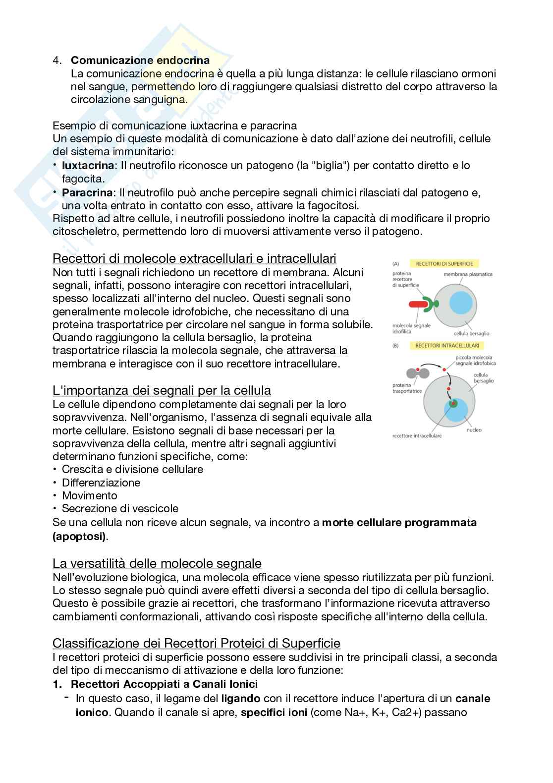 Biologi dello sviluppo e cellulare Pag. 21
