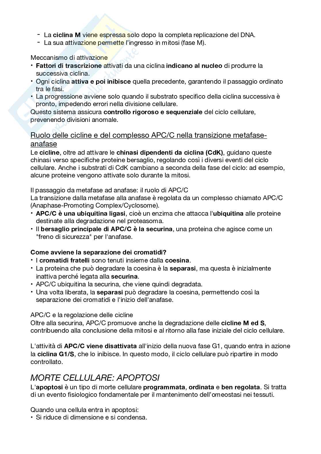 Biologi dello sviluppo e cellulare Pag. 36