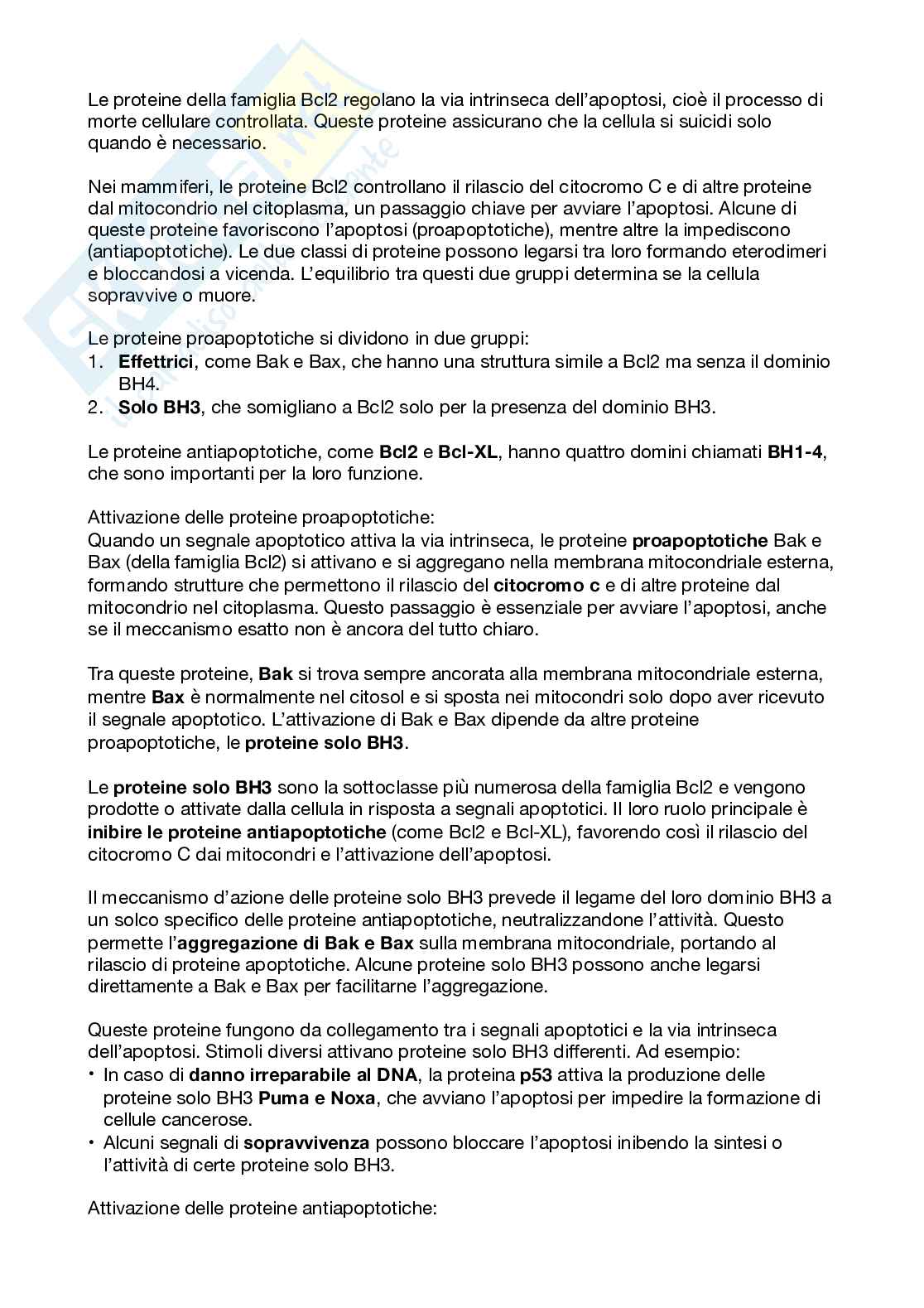 Biologi dello sviluppo e cellulare Pag. 41