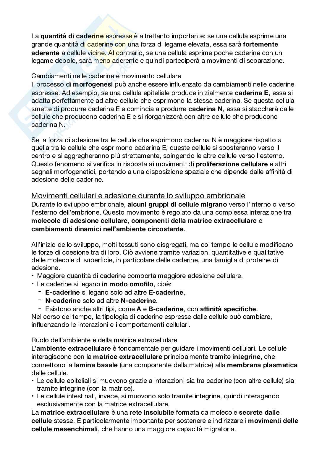 Biologi dello sviluppo e cellulare Pag. 56