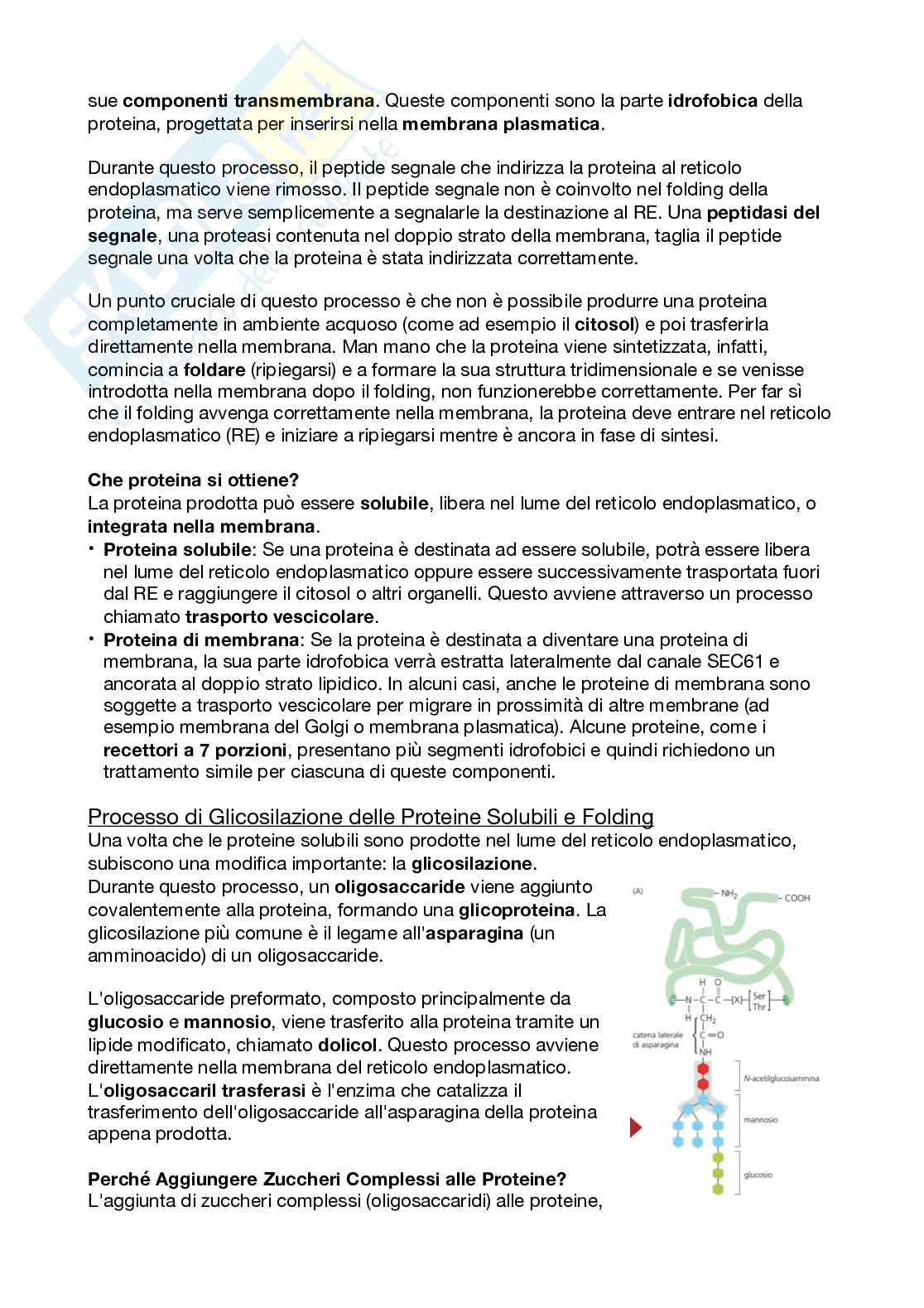 Biologi dello sviluppo e cellulare Pag. 6