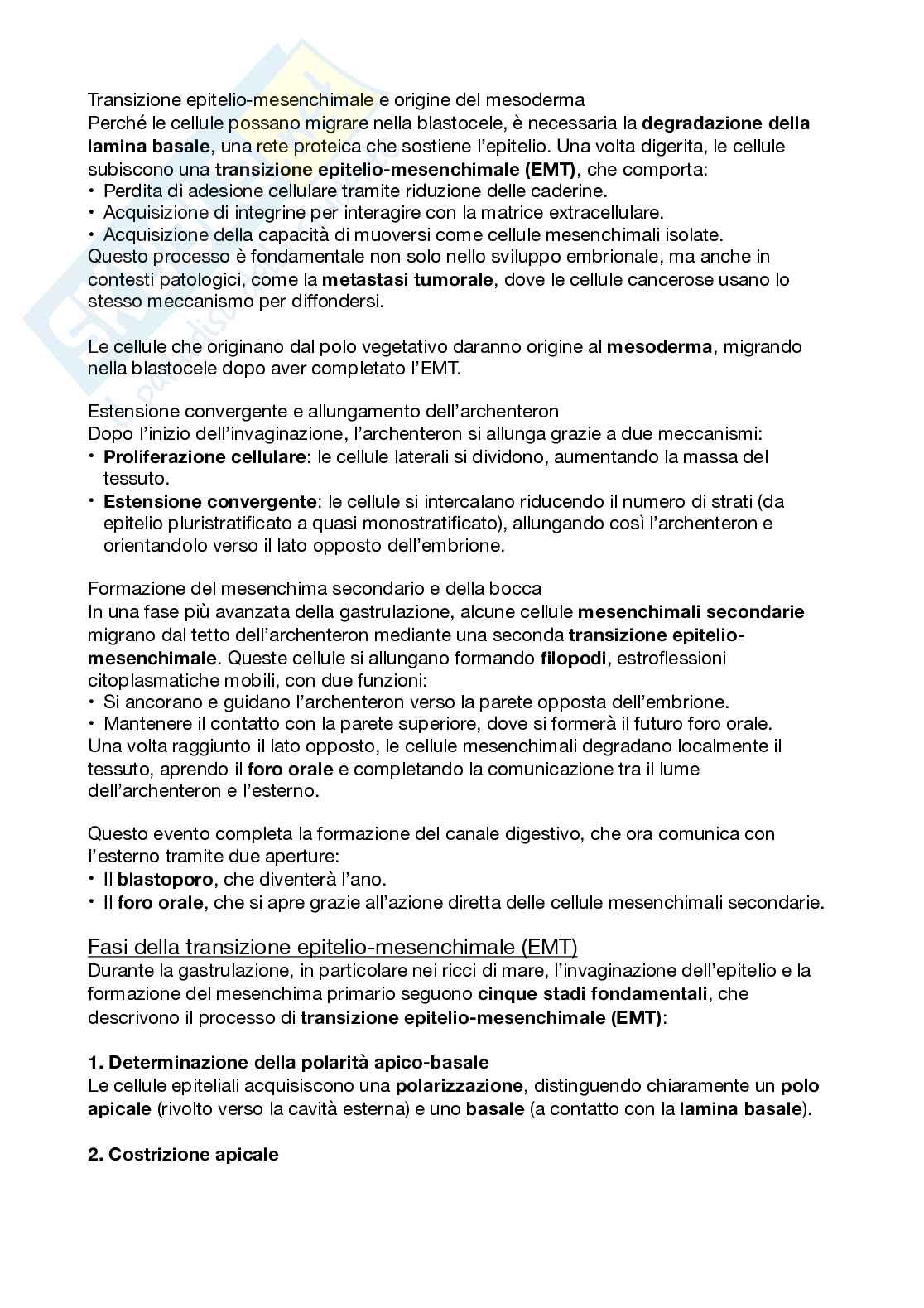 Biologi dello sviluppo e cellulare Pag. 86