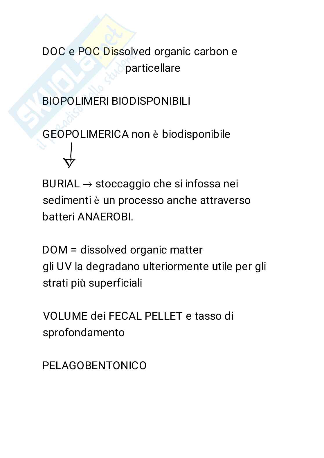 Riassunto esame Biologia marina, Prof. Casabianca Silvia, libro consigliato Biologia marina, biodiversità e funzionamento degli ecosistemi marini, Donovaro Pag. 2