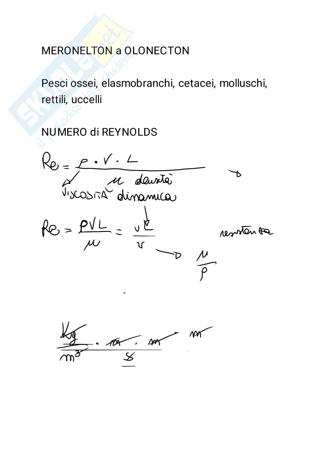 Riassunto esame Biologia marina, Prof. Casabianca Silvia, libro consigliato Biologia marina, biodiversità e funzionamento degli ecosistemi marini, Donovaro Pag. 6