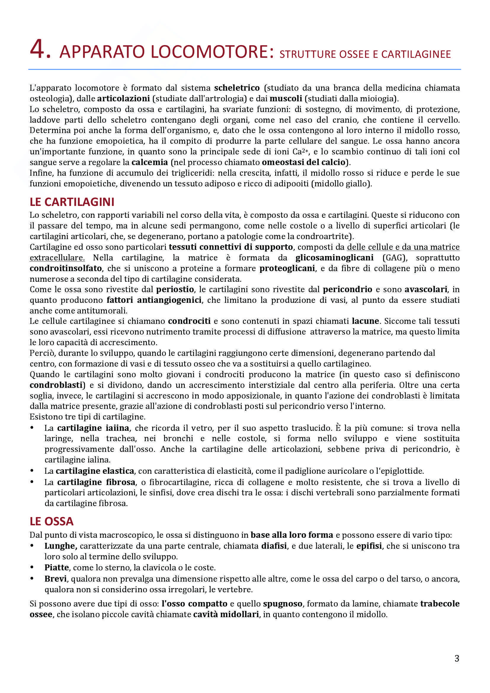 Apparato Locomotore, Anatomia Pag. 1