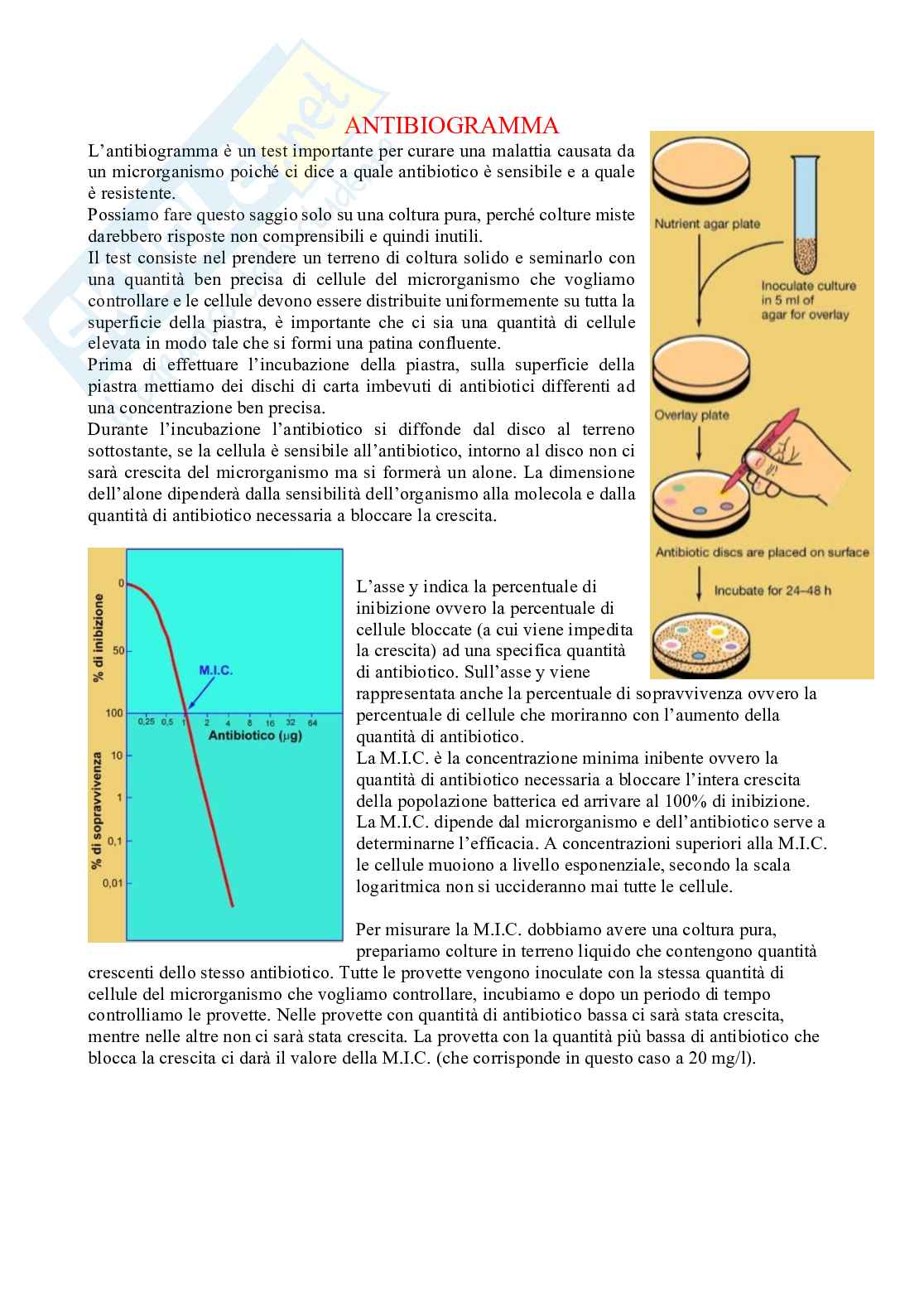Microbiologia con laboratorio - lezione 15 Pag. 2