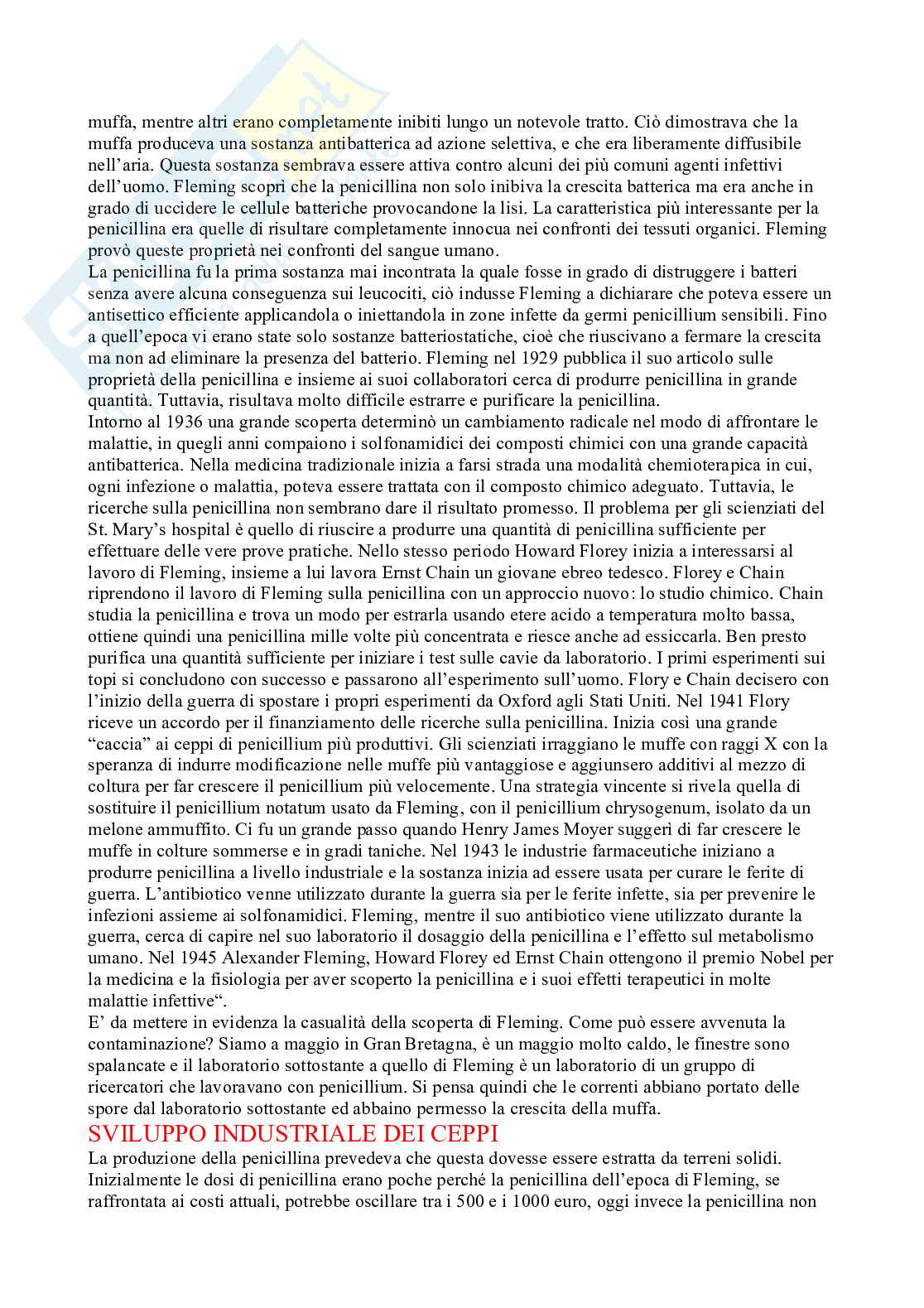 Microbiologia con laboratorio - lezione 15 Pag. 6