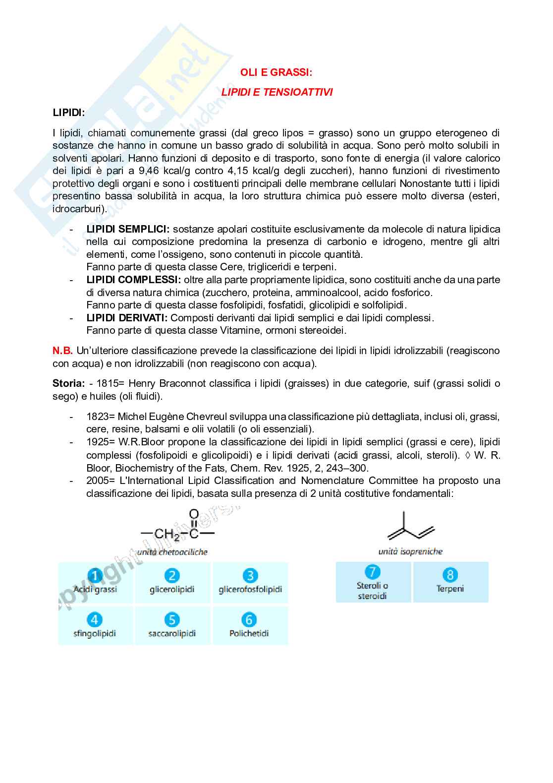 Appunti di Chimica organica sui lipidi Pag. 1