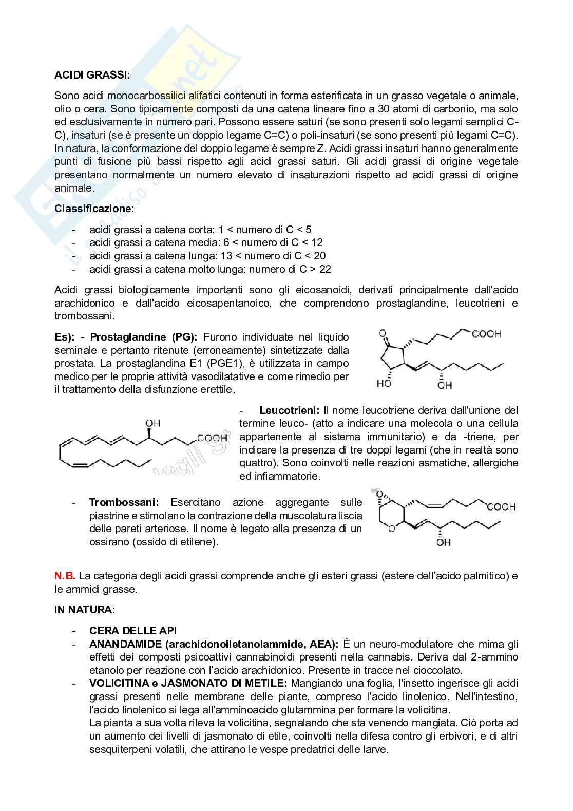 Appunti di Chimica organica sui lipidi Pag. 2