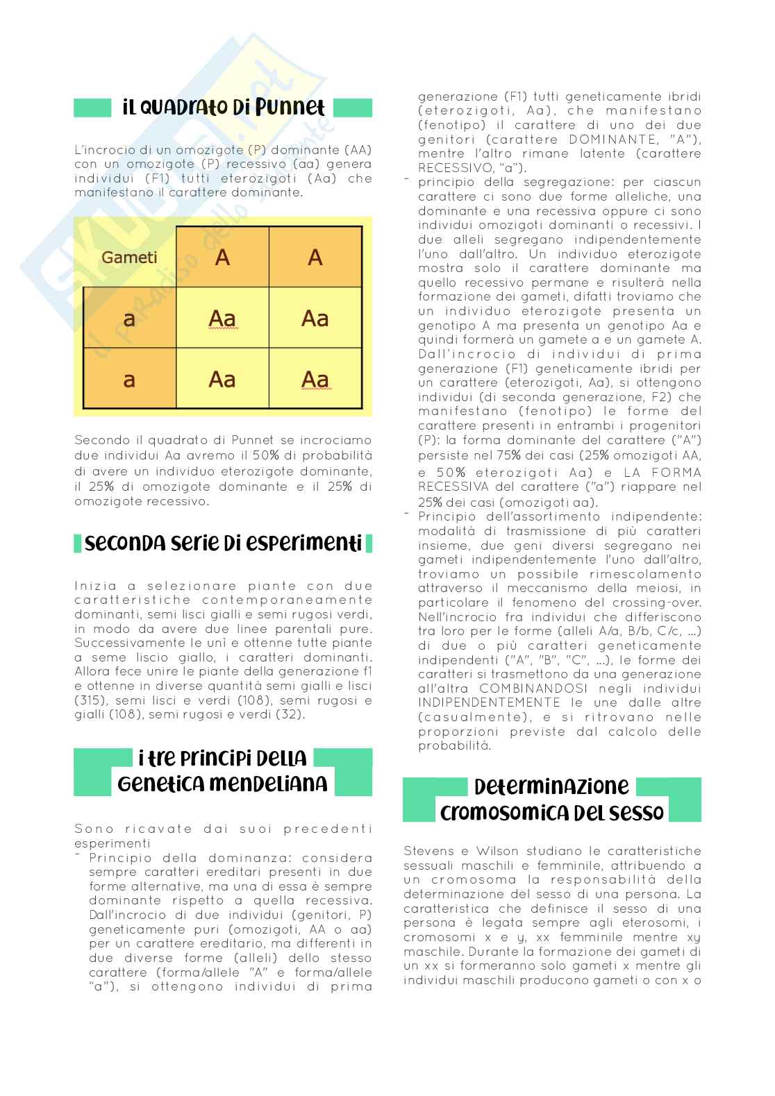 fondamenti neurobiologici e genetici Pag. 26