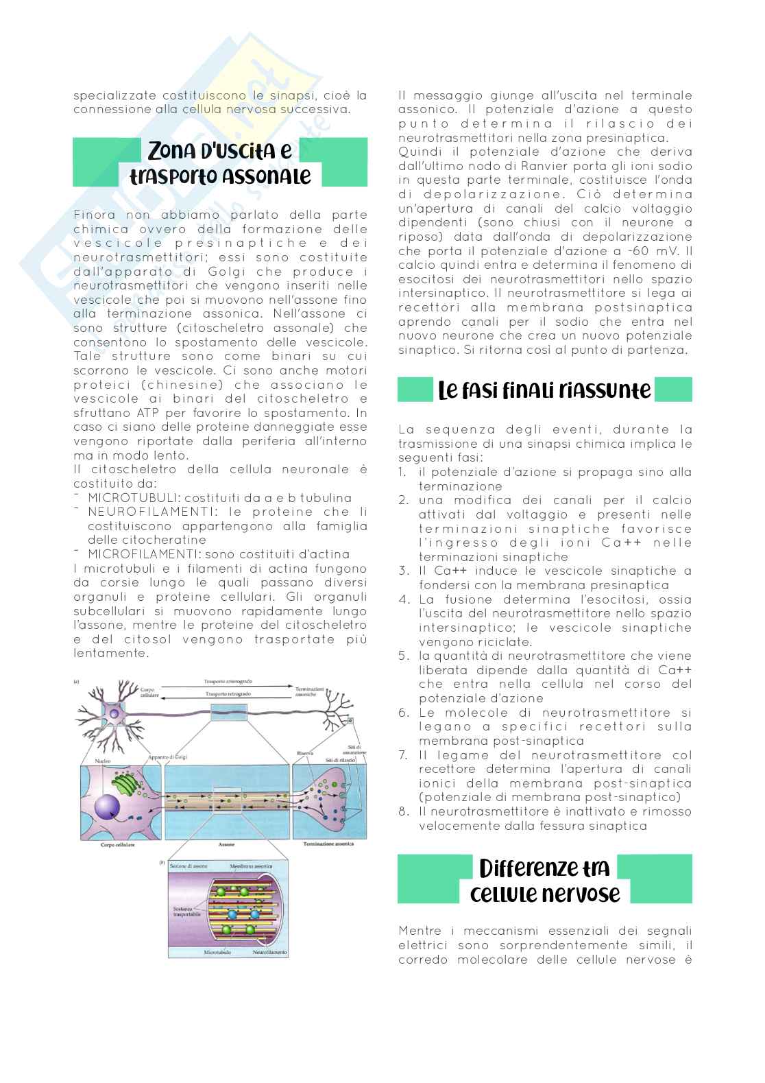 fondamenti neurobiologici e genetici Pag. 56