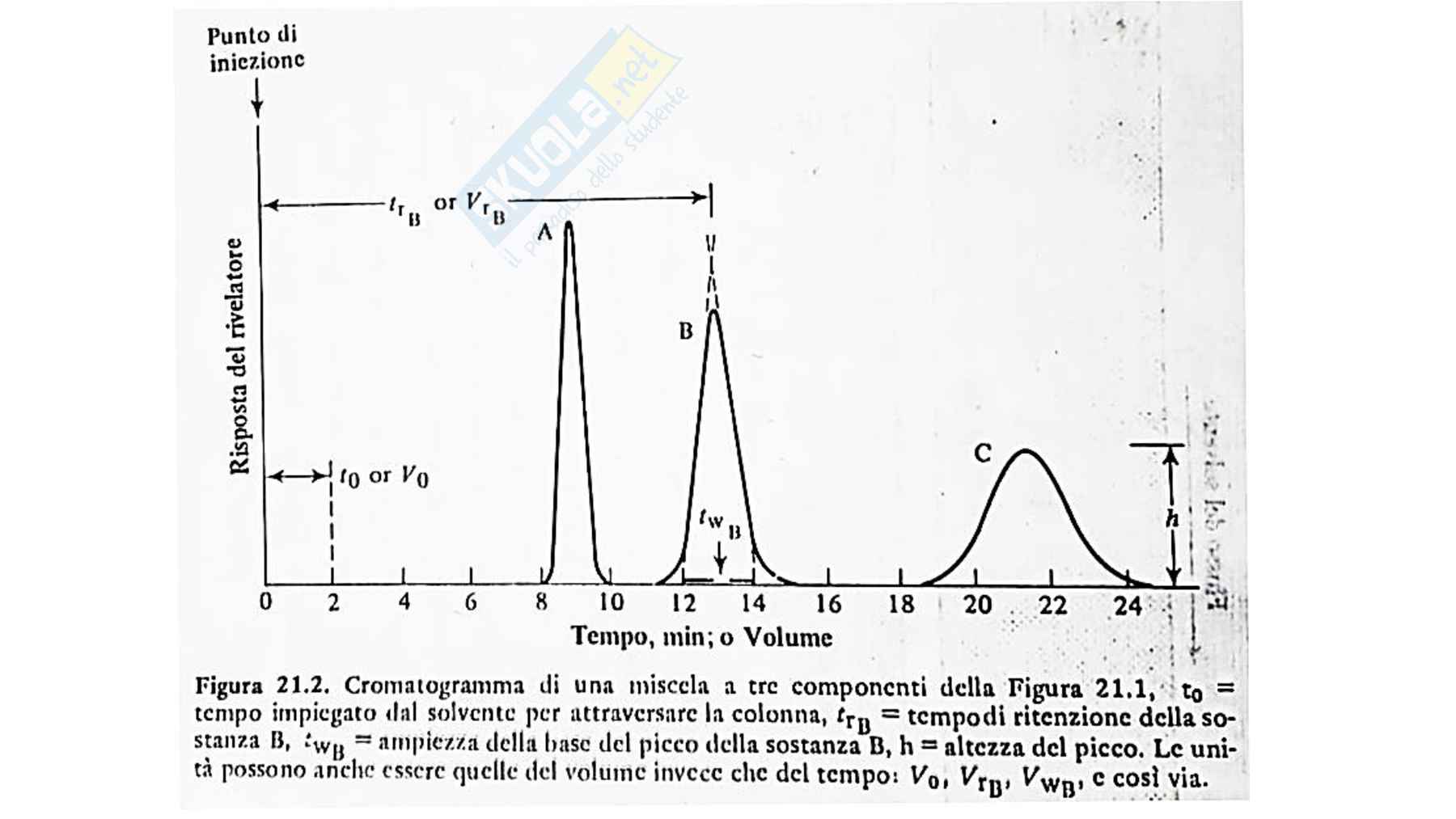 Cromatografia 1 Pag. 51