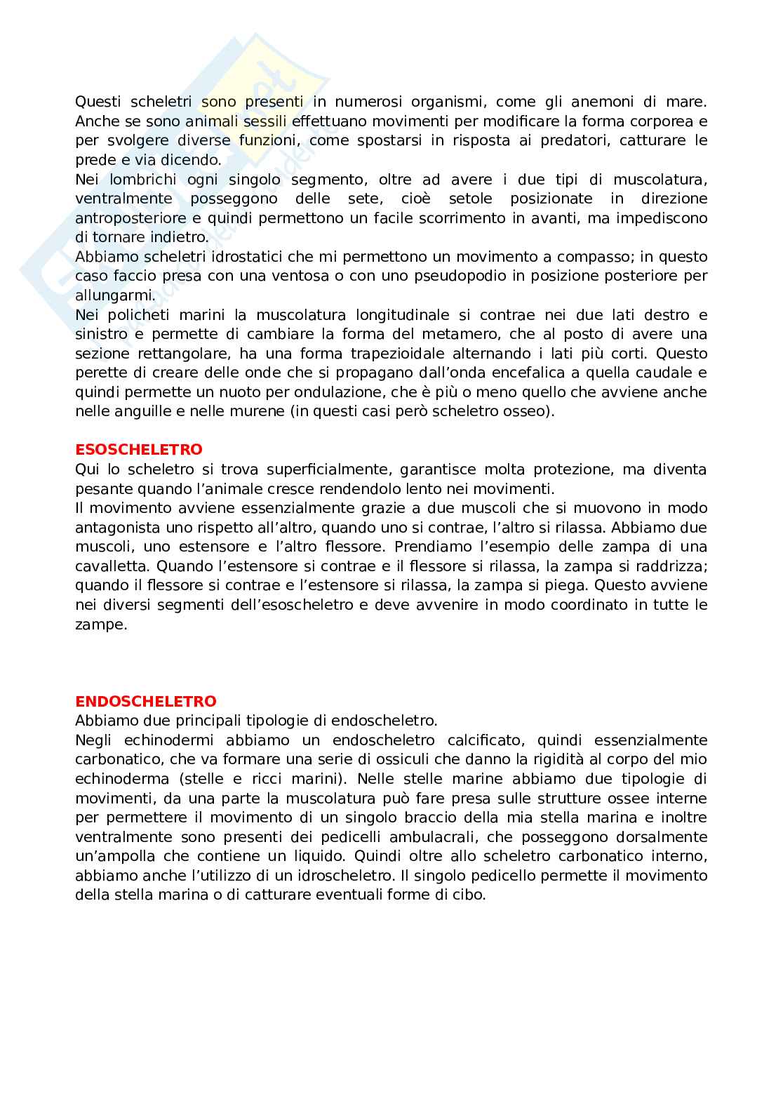 Zoologia generale Pag. 36