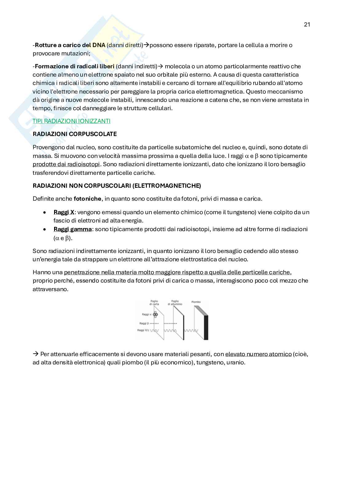 Radiodiagnostica e Radioprotezione Pag. 21