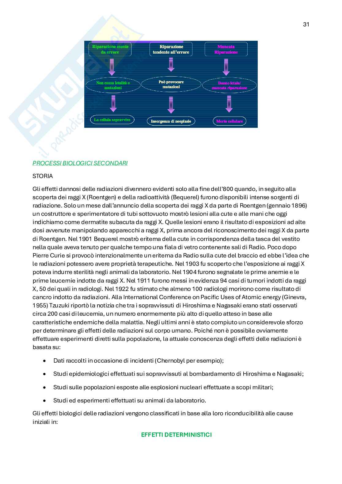 Radiodiagnostica e Radioprotezione Pag. 31