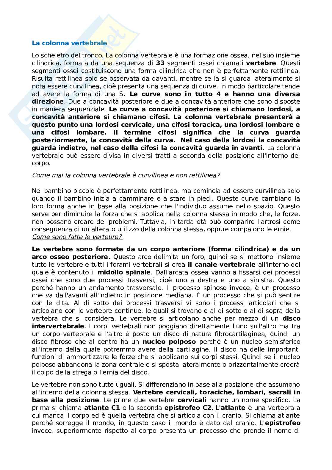 Apparato locomotore e sistema articolare Pag. 6