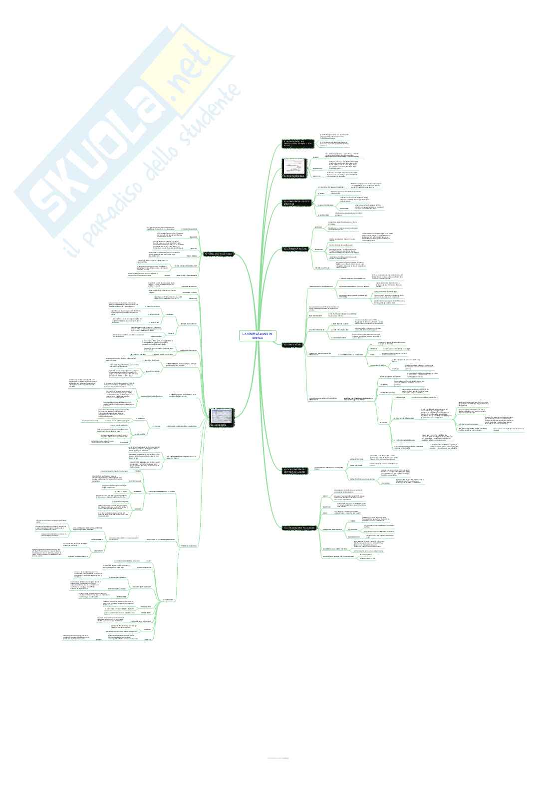 Enologia 2 - Mappe concettuali complete Pag. 11